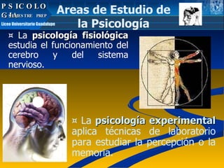 TIPOS DE FILOSOFIA Liceo Nuevo Amanecer FILOSOFIA CUARTOS MEDIOS PSICOLOGIA ¤  La  psicología fisiológica  estudia el funcionamiento del cerebro y del sistema nervioso.  ¤  La  psicología experimental  aplica técnicas de laboratorio para estudiar la percepción o la memoria. Areas de Estudio de la Psicología PSICOLOGIA 5º SEMESTRE  PREP  Liceo Universitario Guadalupe 