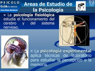 TIPOS DE FILOSOFIA Liceo Nuevo Amanecer FILOSOFIA CUARTOS MEDIOS PSICOLOGIA TERCEROS MEDIOS Liceo Nuevo Amanecer ¤  La  psicología fisiológica  estudia el funcionamiento del cerebro y del sistema nervioso.  ¤  La  psicología experimental  aplica técnicas de laboratorio para estudiar la percepción o la memoria. Areas de Estudio de la Psicología 