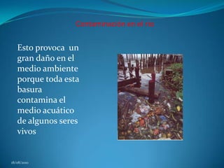 Contaminación en el rio Esto provoca  un gran daño en el medio ambiente porque toda esta basura  contamina el medio acuático de algunos seres vivos 18/08/2010
