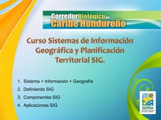 1. Sistema + Información + Geografía
2. Definiendo SIG
3. Componentes SIG
4. Aplicaciones SIG
 