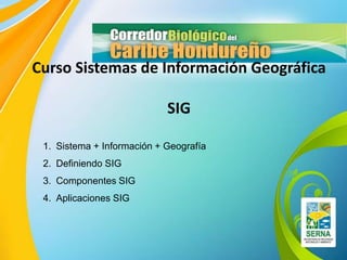 1. Sistema + Información + Geografía
2. Definiendo SIG
3. Componentes SIG
4. Aplicaciones SIG
Curso Sistemas de Información Geográfica
SIG
 