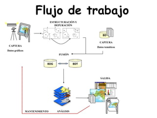Flujo de trabajo
BD
CAPTURA
Datos temáticos
ESTRUCTURACIÓN Y
DEPURACIÓN
ANÁLISIS
SALIDA
BDG BDT
FUSIÓN
CAPTURA
Datos gráficos
MANTENIMIENTO
 