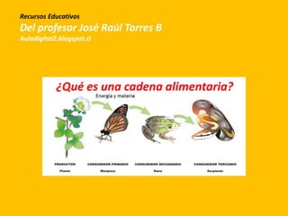 ¿Qué es una cadena alimentaria?
Recursos Educativos
Del profesor José Raúl Torres B
Auladigital2.blogspot.cl
 