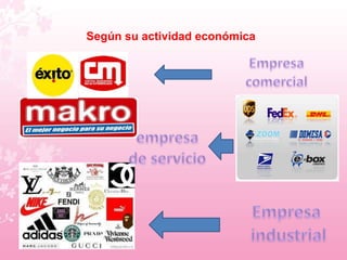Según su actividad económica 
 