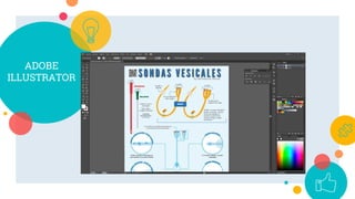 ADOBE
ILLUSTRATOR
 