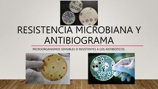 RESISTENCIA MICROBIANA Y
ANTIBIOGRAMA
MICROORGANISMOS SENSIBLES O RESISTENTES A LOS ANTIBIÓTICOS.
 