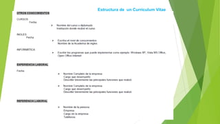 Estructura de un Curriculum Vitae
 