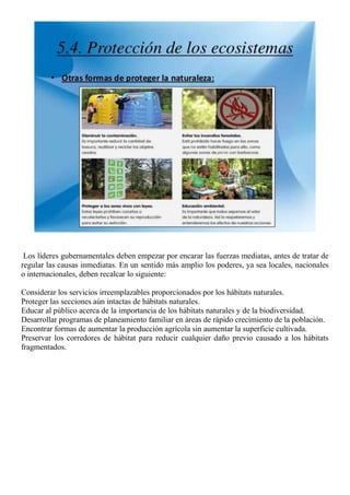 Los líderes gubernamentales deben empezar por encarar las fuerzas mediatas, antes de tratar de
regular las causas inmediatas. En un sentido más amplio los poderes, ya sea locales, nacionales
o internacionales, deben recalcar lo siguiente:
Considerar los servicios irreemplazables proporcionados por los hábitats naturales.
Proteger las secciones aún intactas de hábitats naturales.
Educar al público acerca de la importancia de los hábitats naturales y de la biodiversidad.
Desarrollar programas de planeamiento familiar en áreas de rápido crecimiento de la población.
Encontrar formas de aumentar la producción agrícola sin aumentar la superficie cultivada.
Preservar los corredores de hábitat para reducir cualquier daño previo causado a los hábitats
fragmentados.
 