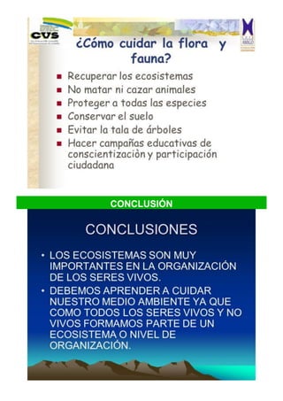 CONCLUSIÓN
 