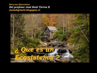 Recursos Educativos
Del profesor José Raúl Torres B
Auladigital2.blogspot.cl
¿ Que es un
Ecosistema ?
 