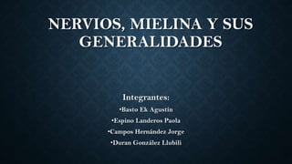 NERVIOS, MIELINA Y SUS
GENERALIDADES
Integrantes:
•Basto Ek Agustín
•Espino Landeros Paola
•Campos Hernández Jorge
•Duran González Llubili
 