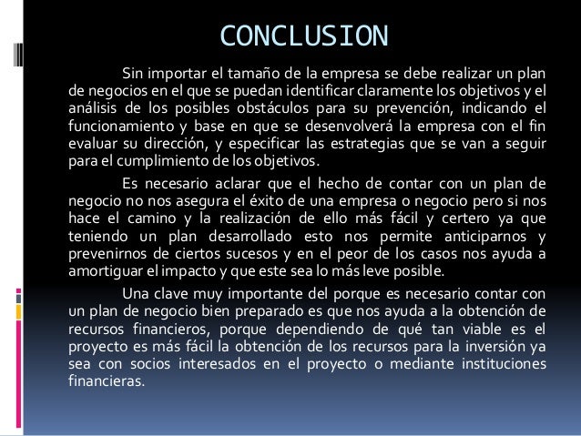 Luis Lameda Plan de Negocios