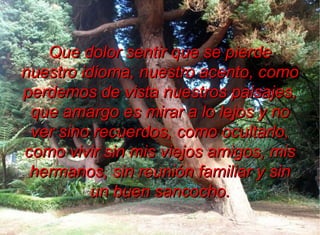 Que dolor sentir que se pierde
nuestro idioma, nuestro acento, como
perdemos de vista nuestros paisajes,
 que amargo es mirar a lo lejos y no
 ver sino recuerdos, como ocultarlo,
como vivir sin mis viejos amigos, mis
 hermanos, sin reunión familiar y sin
          un buen sancocho.
 