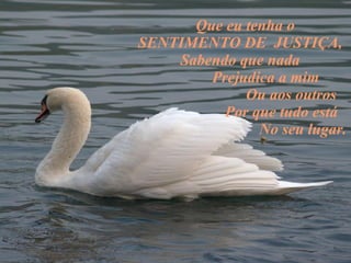 Que eu tenha o  SENTIMENTO DE  JUSTIÇA, Sabendo que nada Prejudica a mim  Ou aos outros  Por que tudo está No seu lugar. 