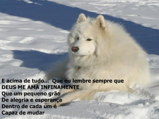 E acima de tudo...  Que eu lembre sempre que  DEUS ME AMA INFINAMENTE  Que um pequeno grão De alegria e esperança Dentro de cada um é  Capaz de mudar 