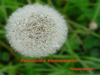 Felicidade é transmissível!   Pense nisso... 