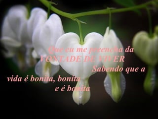 Que eu me preencha da  VONTADE DE VIVER Sabendo que a vida é bonita, bonita e é bonita    