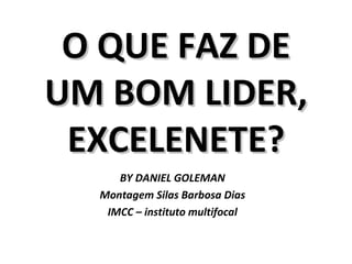O QUE FAZ DE UM BOM LIDER, EXCELENETE? BY DANIEL GOLEMAN Montagem Silas Barbosa Dias IMCC – instituto multifocal 