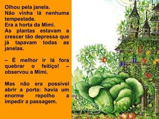 Olhou pela janela.
Não vinha lá nenhuma
tempestade.
Era a horta da Mimi.
As plantas estavam a
crescer tão depressa que
já tapavam todas as
janelas.

– É melhor ir lá fora
quebrar o feitiço! –
observou a Mimi.

Mas não era possível
abrir a porta: havia um
enorme      repolho   a
impedir a passagem.
 