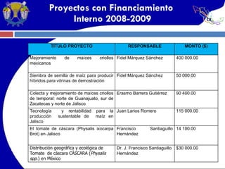 Proyectos con Financiamiento  Interno 2008-2009 TITULO PROYECTO RESPONSABLE MONTO ($) Mejoramiento de maíces criollos mexicanos Fidel Márquez Sánchez 400 000.00 Siembra de semilla de maíz para producir híbridos para vitrinas de demostración Fidel Márquez Sánchez 50 000.00 Colecta y mejoramiento de maíces criollos de temporal: norte de Guanajuato, sur de Zacatecas y norte de Jalisco Erasmo Barrera Gutiérrez 90 400.00 Tecnología  y rentabilidad para la producción  sustentable de  maíz en Jalisco Juan Larios Romero 115 000.00 El tomate de cáscara (Physalis ixocarpa Brot) en Jalisco Francisco Santiaguillo Hernández 14 100.00 Distribución geográfica y ecológica de Tomate  de cáscara CÁSCARA ( Physalis spp. ) en México Dr. J. Francisco Santiaguillo  Hernández $30 000.00 