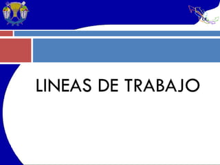 LINEAS DE TRABAJO 