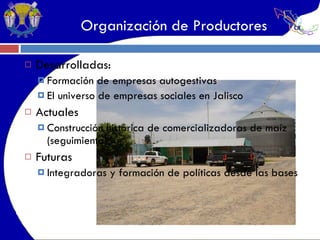 Organización de Productores Desarrolladas: Formación de empresas autogestivas El universo de empresas sociales en Jalisco Actuales Construcción   histórica de comercializadoras de maíz (seguimiento) Futuras Integradoras y formación de políticas desde las bases 