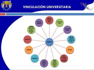 VINCULACIÓN UNIVERSITARIA 