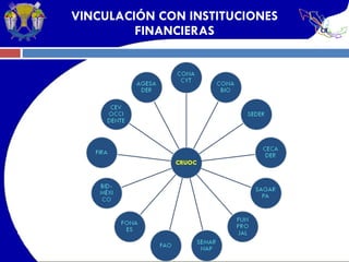 VINCULACIÓN CON INSTITUCIONES FINANCIERAS 