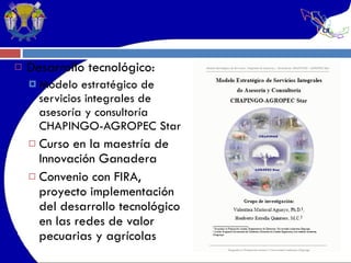 Desarrollo tecnológico: Modelo estratégico de servicios integrales de asesoría y consultoría CHAPINGO-AGROPEC Star Curso en la maestría de Innovación Ganadera  Convenio con FIRA,  proyecto implementación del desarrollo tecnológico en las redes de valor pecuarias y agrícolas 
