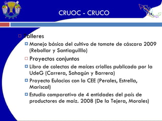 CRUOC - CRUCO Talleres Manejo básico del cultivo de tomate de cáscara 2009 (Rebollar y Santiaguilllo) Proyectos conjuntos Libro de colectas de maíces criollos publicado por la UdeG (Carrera, Sahagún y Barrera) Proyecto Eulacias con la CEE (Perales, Estrella, Mariscal) Estudio comparativo de 4 entidades del país de productores de maíz. 2008 (De la Tejera, Morales) 