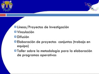 Líneas/Proyectos de Investigación Vinculación  Difusión Elaboración de proyectos  conjuntos (trabajo en equipo) Taller sobre la metodología para la elaboración de programas operativos  