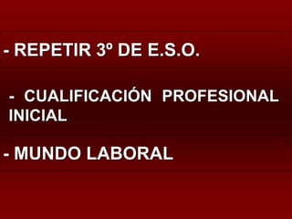 - REPETIR 3º DE E.S.O.

- CUALIFICACIÓN PROFESIONAL
INICIAL

- MUNDO LABORAL
 