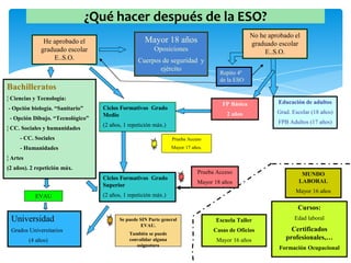 ¿Qué hacer después de la ESO?
Bachilleratos
¦ Ciencias y Tecnología:
- Opción biología. “Sanitario”
- Opción Dibujo. “Tecn...