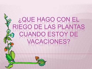 ¿QUE HAGO CON EL
RIEGO DE LAS PLANTAS
CUANDO ESTOY DE
VACACIONES?

 