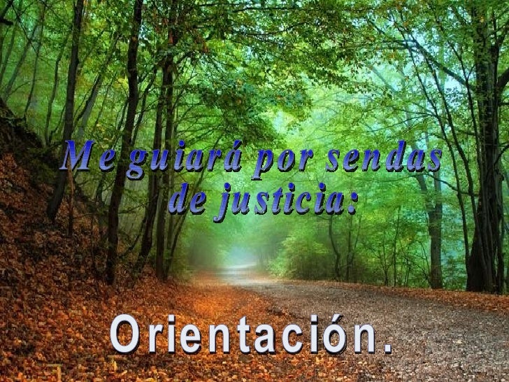 orientación salmo
