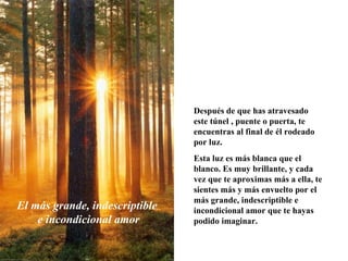 Después de que has atravesado este túnel , puente o puerta, te encuentras al final de él rodeado por luz. Esta luz es más blanca que el blanco. Es muy brillante, y cada vez que te aproximas más a ella, te sientes más y más envuelto por el más grande, indescriptible e incondicional amor que te hayas podido imaginar.  El más grande, indescriptible  e incondicional amor 