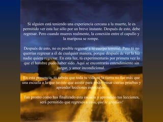 Si alguien está teniendo una experiencia cercana a la muerte, le es permitido ver esta luz sólo por un breve instante. Después de esto, debe regresar. Pero cuando mueres realmente, la conexión entre el capullo y la mariposa se rompe.  Después de esto, no es posible regresar a tu cuerpo terrenal. Pero tú no querrías regresar a él de cualquier manera, porque después de ver la luz nadie quiere regresar. En esta luz, tú experimentarás por primera vez lo que el hombre pudo haber sido. Aquí se encontrarás entendimiento sin juzgar, y amor incondicional.  En esta presencia, tú sabrás que toda tu vida en la tierra no fue más que una escuela a la que tuviste que asistir para poder pasar ciertas pruebas y aprender lecciones especiales.  Tan pronto como has finalizado esta escuela y aprendido tus lecciones, será permitido que regreses a casa,  que te gradúes! 