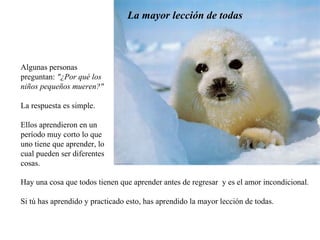 Algunas personas preguntan:  "¿Por qué los niños pequeños mueren?"  La respuesta es simple.  Ellos aprendieron en un período muy corto lo que uno tiene que aprender, lo cual pueden ser diferentes cosas.  La mayor lección de todas Hay una cosa que todos tienen que aprender antes de regresar  y es el amor incondicional.  Si tú has aprendido y practicado esto, has aprendido la mayor lección de todas. 