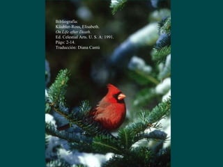 Bibliografía:  Küubler-Ross, Elisabeth. On Life after Death . Ed. Celestial Arts. U. S. A: 1991. Págs: 2-14. Traducción: Diana Cantú 