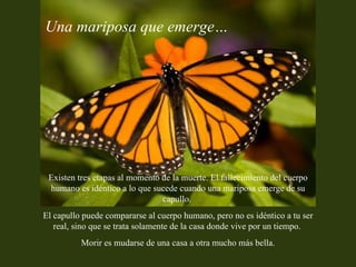 Existen tres etapas al momento de la muerte. El fallecimiento del cuerpo humano es idéntico a lo que sucede cuando una mariposa emerge de su capullo.  El capullo puede compararse al cuerpo humano, pero no es idéntico a tu ser real, sino que se trata solamente de la casa donde vive por un tiempo.  Morir es mudarse de una casa a otra mucho más bella. Una mariposa que emerge… 