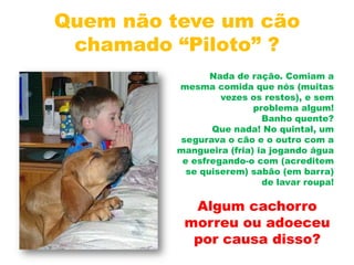 Quem não teve um cão chamado “Piloto” ?Nada de ração. Comiam a mesma comida que nós (muitas vezes os restos), e sem problema algum!Banho quente?Que nada! No quintal, um segurava o cão e o outro com a mangueira (fria) ia jogando água e esfregando-o com (acreditem se quiserem) sabão (em barra) de lavar roupa!Algum cachorro morreu ou adoeceu por causa disso?