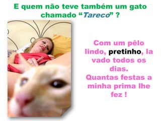 E quem não teve também um gato chamado “Tareco” ?Com um pêlo lindo, pretinho, lavado todos os dias.Quantas festas a minha prima lhe fez !
