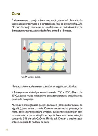 36
Cura
É a fase em que o queijo sofre a maturação, visando à obtenção do
sabor, à sua conservação e à característica final do produto (Fig. 29).
Nocasodoqueijoparmesão,acuraéfeitaemumperíodomínimode
6meses;entretanto,acuraidealéfeitaentre8e12meses.
Fig. 29. Cura do queijo.
Na etapa de cura, devem ser tomados os seguintes cuidados:
• A temperatura ideal para essa fase é de 10ºC a 15ºC. Abaixo de
10°C,acuraémuitolenta;acimadessatemperatura,prejudica-sea
qualidade do queijo.
•Efetuar a proteção dos queijos com óleo (óleos de linhaça ou de
algodão), para evitar o mofo. Caso seja observada a presença de
mofo,deve-seprovidenciaralavagem,queconsisteemlimpar,com
uma escova, a parte atingida e depois lavar com uma solução
contendo 5% de cal (CaO) e 5% de sal. Deixar o queijo secar
antes de colocá-lo no local de cura.
 