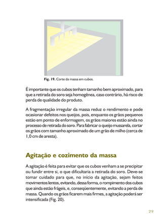 29
Fig. 19. Corte da massa em cubos.
Éimportantequeoscubostenhamtamanhobemaproximado,para
que a retirada do soro seja homogênea, caso contrário, há risco de
perda de qualidade do produto.
A fragmentação irregular da massa reduz o rendimento e pode
ocasionar defeitos nos queijos, pois, enquanto os grãos pequenos
estão em ponto de enformagem, os grãos maiores estão ainda no
processoderetiradadosoro.Parafabricaroqueijomussarela,cortar
os grãos com tamanho aproximado de um grão de milho (cerca de
1,0 cm de aresta).
Agitação e cozimento da massa
A agitação é feita para evitar que os cubos venham a se precipitar
ou fundir entre si, o que dificultaria a retirada do soro. Deve-se
tomar cuidado para que, no início da agitação, sejam feitos
movimentoslentos,evitando,dessaforma,orompimentodoscubos
que ainda estão frágeis, e, conseqüentemente, evitando a perda de
massa. Quando os grãos ficarem mais firmes, a agitação poderá ser
intensificada (Fig. 20).
 