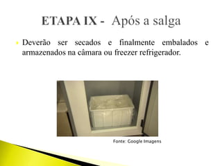  Deverão ser secados e finalmente embalados e
armazenados na câmara ou freezer refrigerador.
Fonte: Google Imagens
 