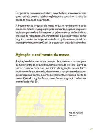 29
Éimportantequeoscubostenhamtamanhobemaproximado,para
que a retirada do soro seja homogênea; caso contrário, há risco de
perda de qualidade do produto.
A fragmentação irregular da massa reduz o rendimento e pode
ocasionar defeitos nos queijos, pois, enquanto os grãos pequenos
estão em ponto de enformagem, os grãos maiores estão ainda no
processoderetiradadosoro.Parafabricaroqueijoparmesão,cortar
os grãos com tamanho aproximado de um grão de arroz partido ao
meio(aproximadamente0,3cmdearesta),comousodelirabemfina.
Agitação e cozimento da massa
A agitação é feita para evitar que os cubos venham a se precipitar
ou fundir entre si, o que dificultaria a retirada do soro. Deve-se
tomar cuidado para que, no início da agitação, sejam feitos
movimentoslentos,evitando,dessaforma,orompimentodoscubos,
que ainda estão frágeis, e, conseqüentemente, evitando a perda de
massa. Quando os grãos ficarem mais firmes, a agitação poderá ser
intensificada (Fig. 20).
Fig. 20. Agitação
da massa.
 