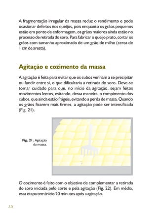 30
A fragmentação irregular da massa reduz o rendimento e pode
ocasionar defeitos nos queijos, pois enquanto os grãos pequenos
estão em ponto de enformagem, os grãos maiores ainda estão no
processoderetiradadosoro.Parafabricaroqueijoprato,cortaros
grãos com tamanho aproximado de um grão de milho (cerca de
1 cm de aresta).
Agitação e cozimento da massa
A agitação é feita para evitar que os cubos venham a se precipitar
ou fundir entre si, o que dificultaria a retirada do soro. Deve-se
tomar cuidado para que, no início da agitação, sejam feitos
movimentos lentos, evitando, dessa maneira, o rompimento dos
cubos, que ainda estão frágeis, evitando a perda de massa. Quando
os grãos ficarem mais firmes, a agitação pode ser intensificada
(Fig. 21).
Fig. 21. Agitação
da massa.
O cozimento é feito com o objetivo de complementar a retirada
do soro iniciada pelo corte e pela agitação (Fig. 22). Em média,
essa etapa tem início 20 minutos após a agitação.
 