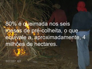 80% é queimada nos seis meses de pré-colheita, o que equivale a, aproximadamente, 4 milhões de hectares.   