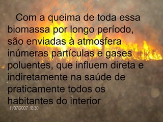 Com a queima de toda essa biomassa por longo período, são enviadas à atmosfera inúmeras partículas e gases poluentes, que influem direta e indiretamente na saúde de praticamente todos os habitantes do interior   