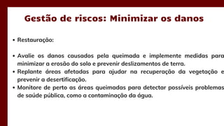 Gestão de riscos: Minimizar os danos
Restauração:
Avalie os danos causados pela queimada e implemente medidas para
minimizar a erosão do solo e prevenir deslizamentos de terra.
Replante áreas afetadas para ajudar na recuperação da vegetação e
prevenir a desertificação.
Monitore de perto as áreas queimadas para detectar possíveis problemas
de saúde pública, como a contaminação da água.
 
